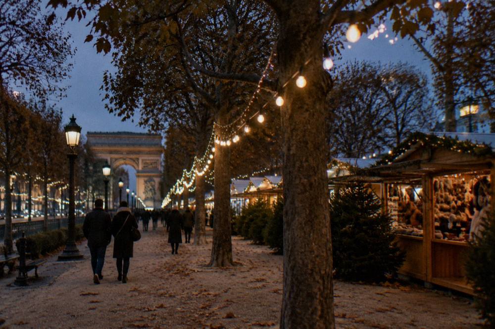 Glowing garlands strung between trees on a grand Paris avenue after dark