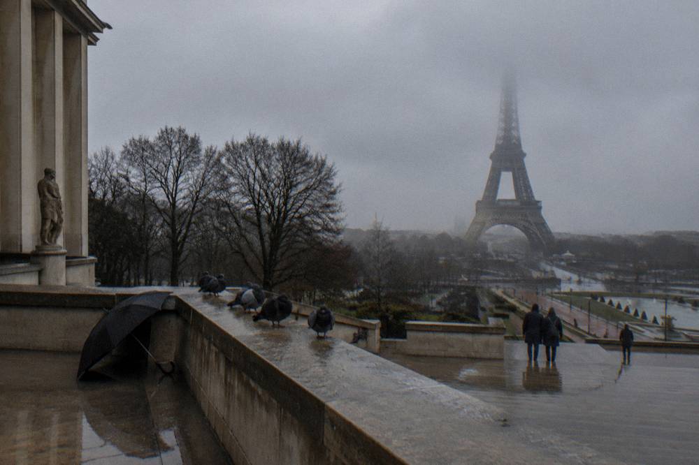The Eiffel Tower seen across bare winter trees under a grey December sky