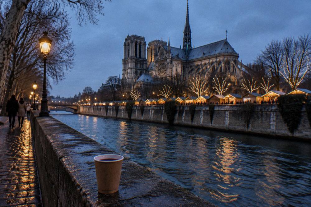 Illuminated Christmas chalets and bare winter trees along the Seine at dusk near the cathedral