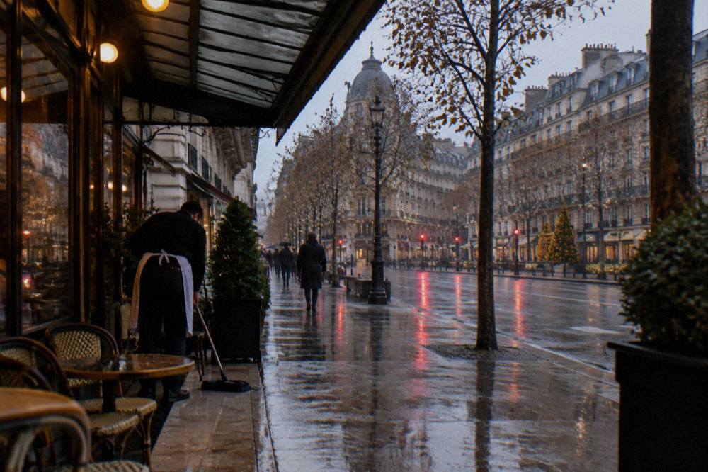 Rain-slicked Haussmannian boulevard reflecting street lights in early evening