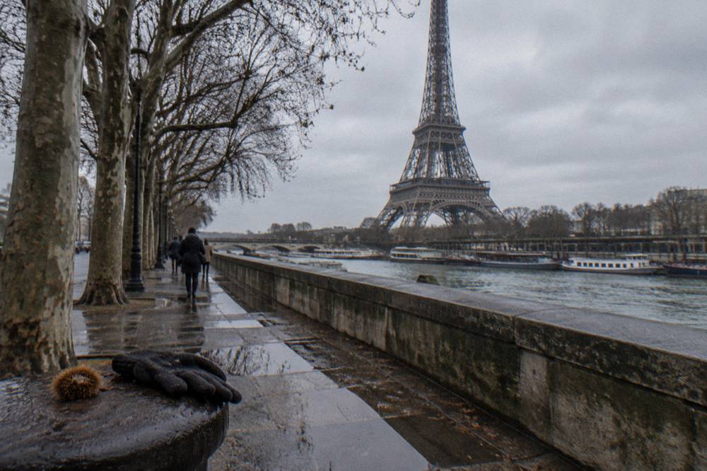 Bare plane trees along a Paris quay under a grey winter sky